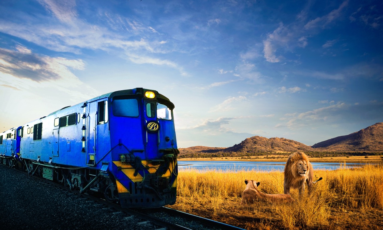 Imagine Cruising Hero Image 4